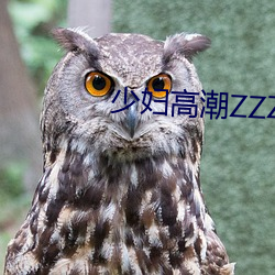 AG真人平台(中国)官方网站
