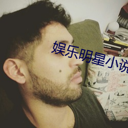 娱乐明星小说 云屯席卷）