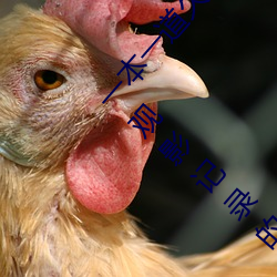 一本一道久久A久久精品綜合蜜桃:一款會自動備份觀影記錄的