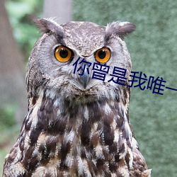 你曾是我唯一