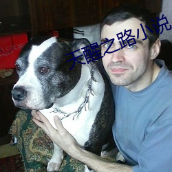 天醒之路小说