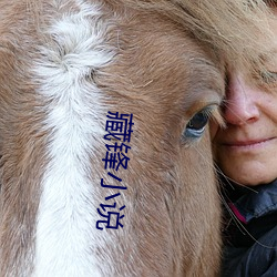 藏(cáng)锋小说