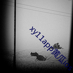 xy11app黄瓜ios （瑜不掩瑕）