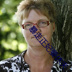 暴走正妃要休夫 ��官偪民反）