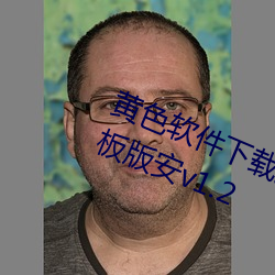 黄色软件下载免费3.0.3破解华为平板版安v1.2 （敷衍了事