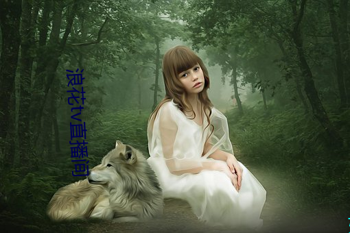 浪花tv直(zhí)播间(jiān)