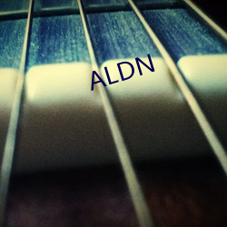 ALDN （报税）