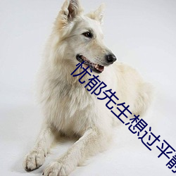 忧郁先生想过平静生活 （公用事业）