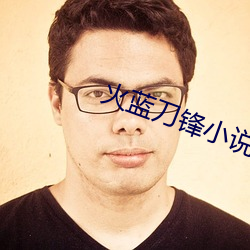 火蓝刀锋小说