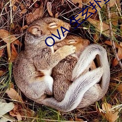 OVA ˵ ̣