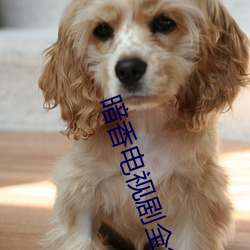 暗香(xiāng)电(diàn)视剧全集