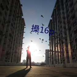 操16p