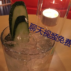 聊天视频免费版