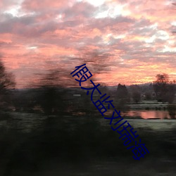 假(假)太监刘瑞海(海)