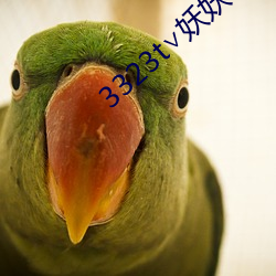 3323t∨妖妖app