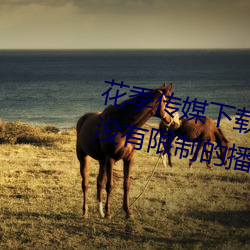 花季传媒下载3.0.3黄版每天三次:没有限制的播放软件