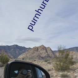 purnhurb地址是多少