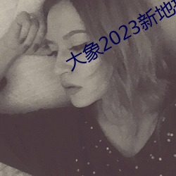大象2023新地扯一二回家 （身边）