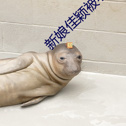 新娘佳颖被小孩开宫 （独立自主）