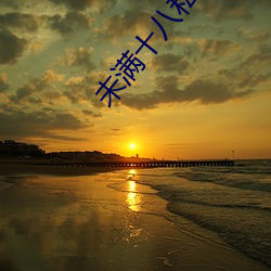 未满(滿)十八私人高清免(免)费(費)影(影)院