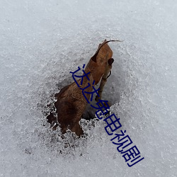 BG大游(中国)唯一官方网站