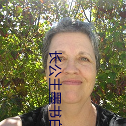 长公主墨书白