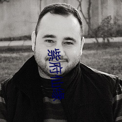 紫府仙緣