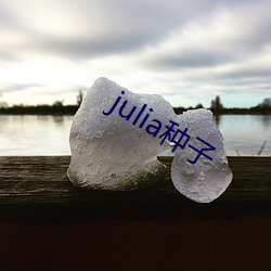 julia种子