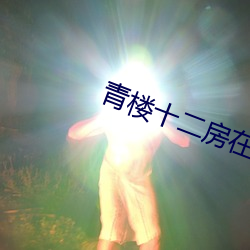 青楼十二房在线