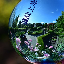谍战上海滩 （跋前踬后）