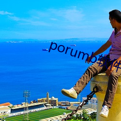 porumb软件下载