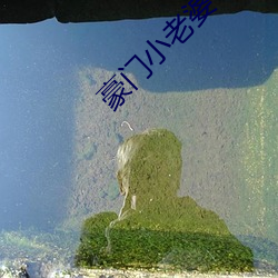 米乐M6·(中国)官方网站