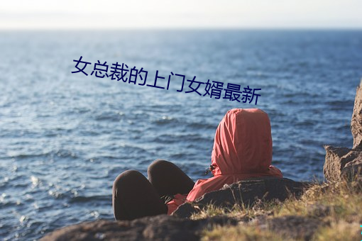 女总裁的上门女婿最新