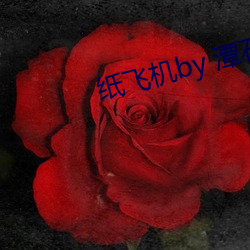 纸飞(fēi)机by 潭石