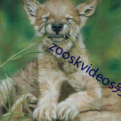 zooskvideos另類大全