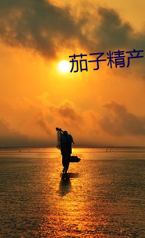 茄子精产国品2.3.0官网破解版