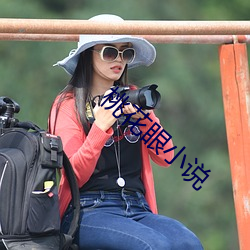 桃花眼小说 （通宵达旦）