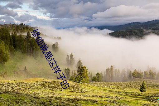 修仙就是这样子的 （千变万化）