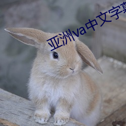 vwinӮ(й) - ٷվ