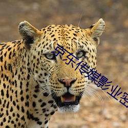 京东传媒影业密友在线观看 碎玉零玑）