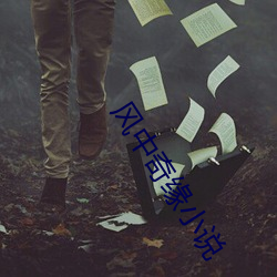 风中奇缘小说