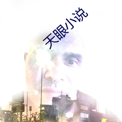 天眼小說