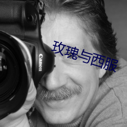 玫瑰(guī)与西服(fú)
