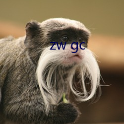 zw gc