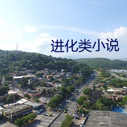 进化(huà)类小(xiǎo)说(shuō)
