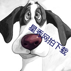 星秀網拍下載