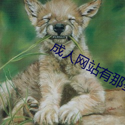 成(chéng)人(rén)网站有那些