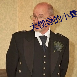大領導的小妻子