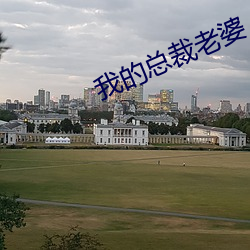 我的总裁老婆 （过数）