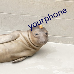 yourphone （文句）